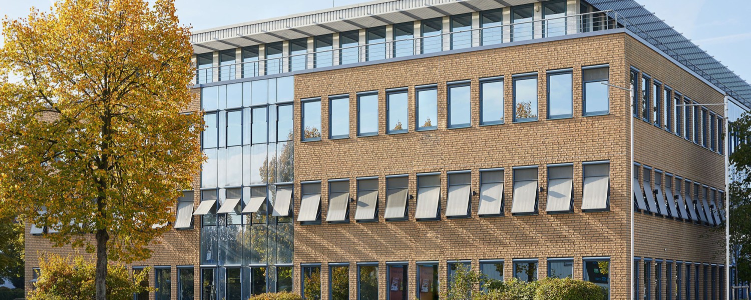 Gallerie Bild